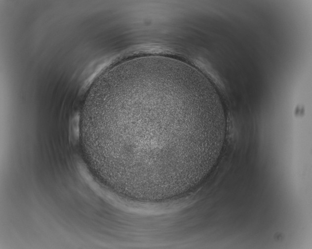 X0000113240014200909171613