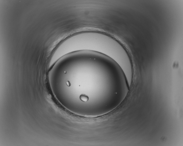 X0000113240015200909171613