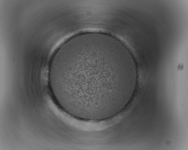 X0000113240016200909171613