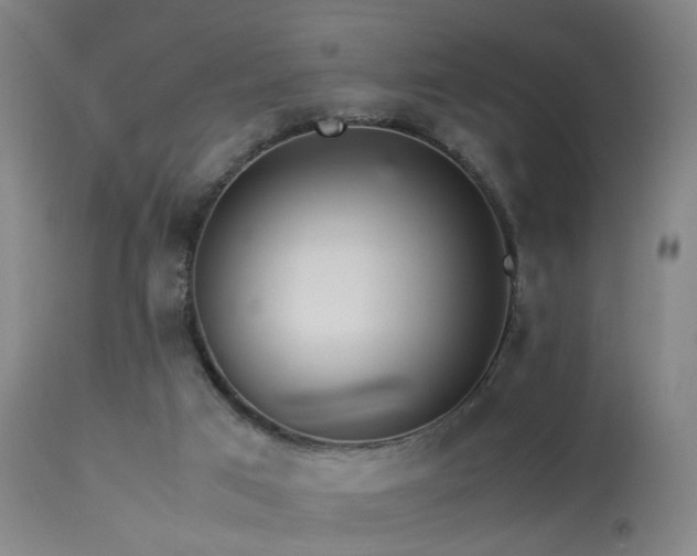 X0000113240017200909171613