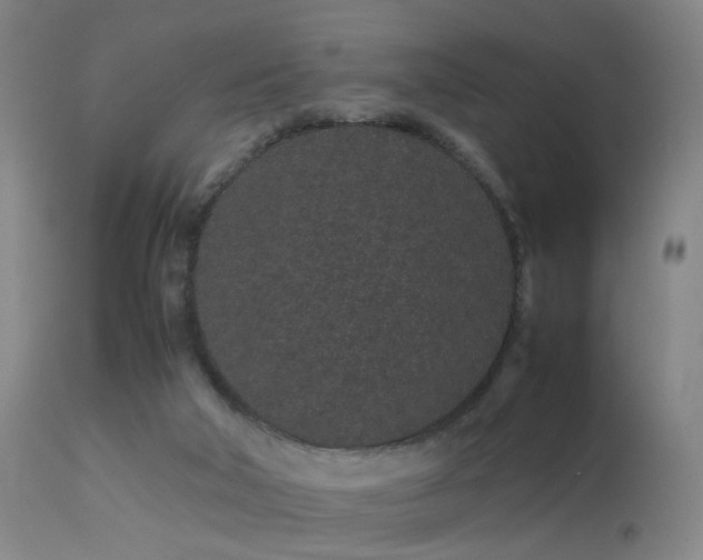 X0000113240018200909171613