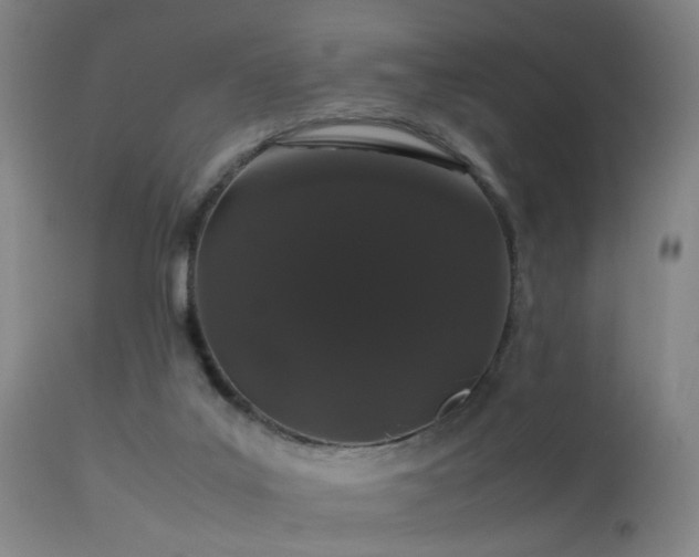 X0000113240019200909171613