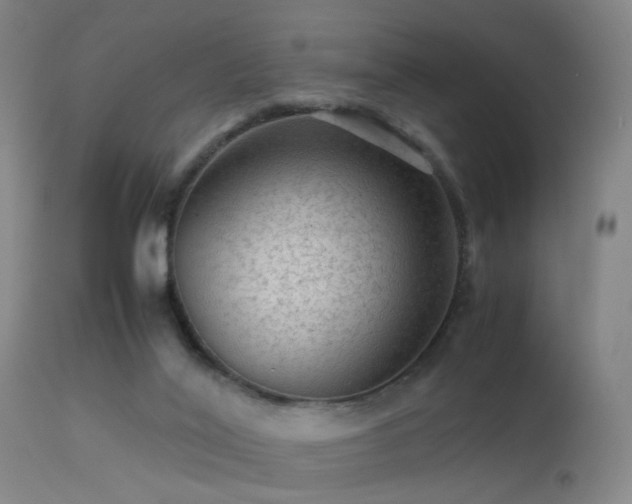 X0000113240020200909171613