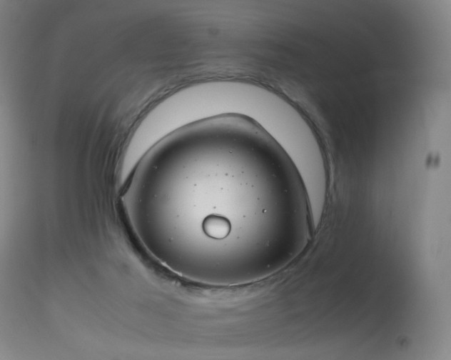 X0000113240021200909171613