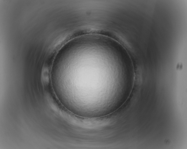 X0000113240022200909171613