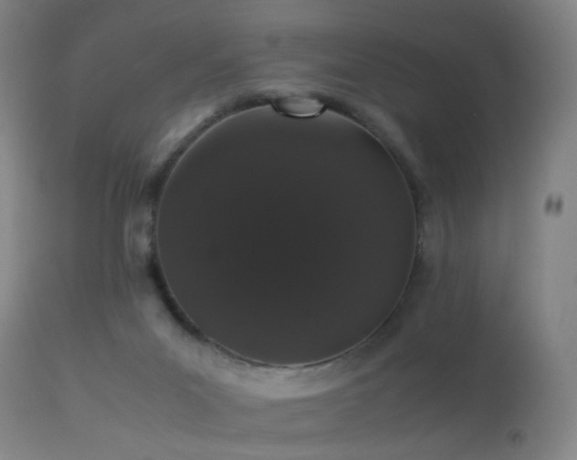 X0000113240023200909171613