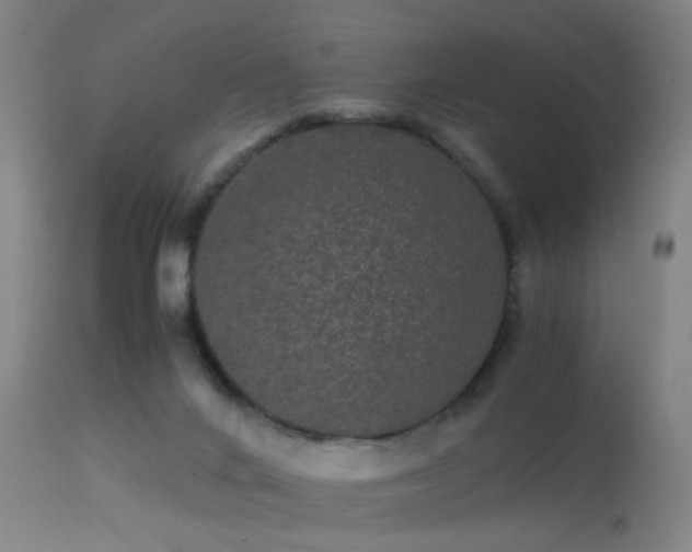 X0000113240024200909171613