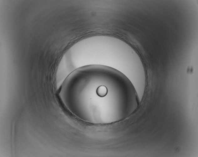 X0000113240025200909171613