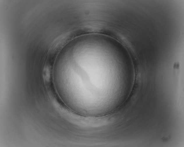 X0000113240026200909171613