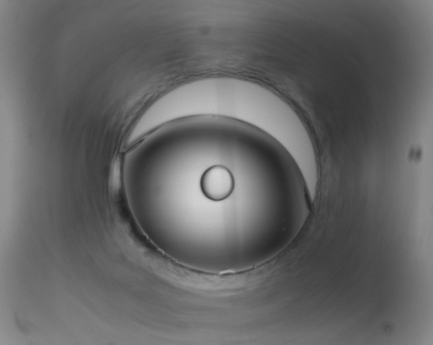 X0000113240027200909171613