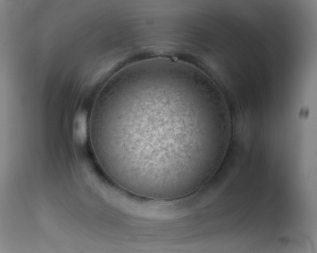 X0000113240028200909171613