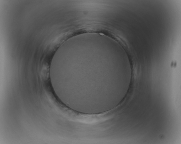 X0000113240029200909171613