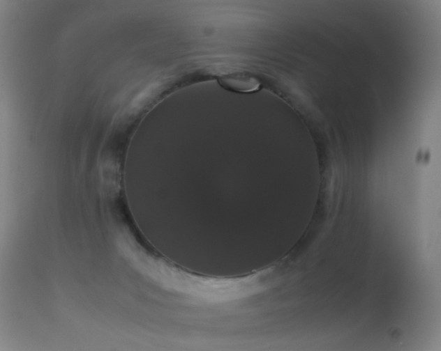 X0000113240031200909171613