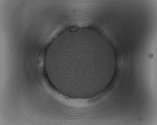 X0000113240032200909171613