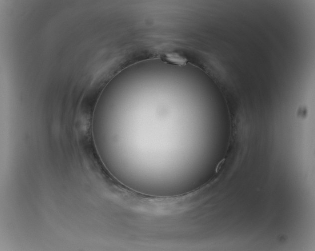 X0000113240033200909171613