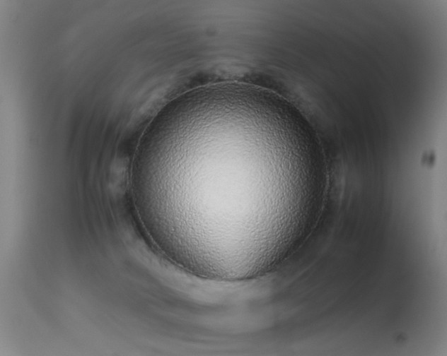 X0000113240034200909171613