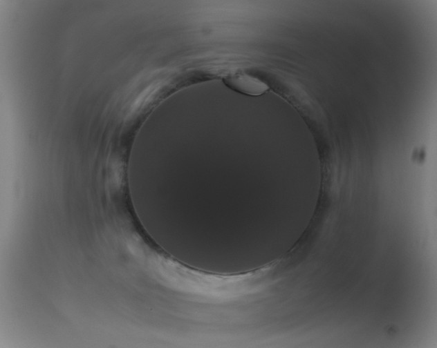 X0000113240035200909171613