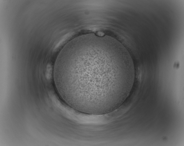 X0000113240036200909171613