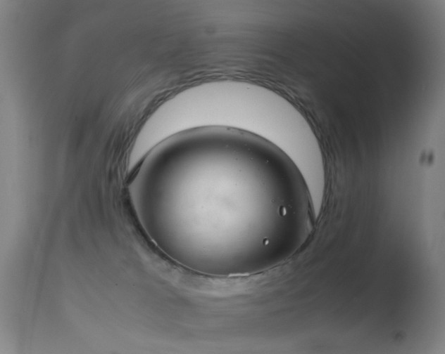 X0000113240037200909171613