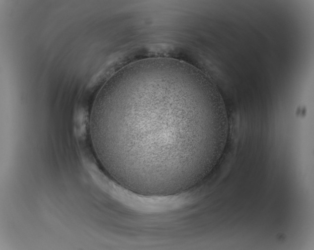 X0000113240038200909171613