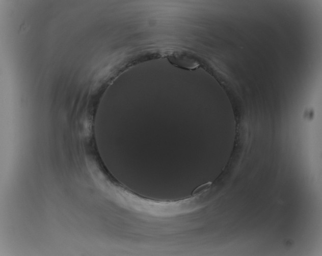 X0000113240039200909171613