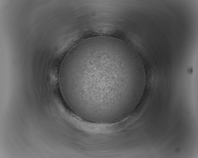 X0000113240040200909171613