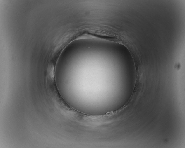 X0000113240041200909171613