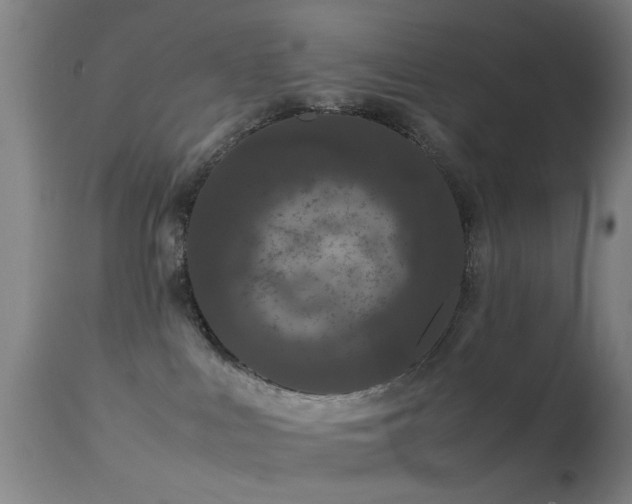 X0000113240043200909171613