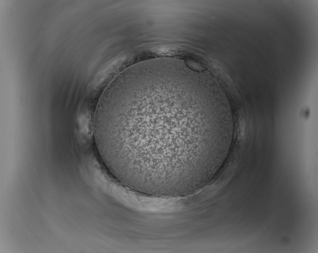 X0000113240044200909171613