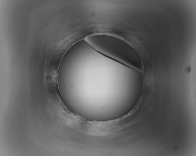 X0000113240045200909171613