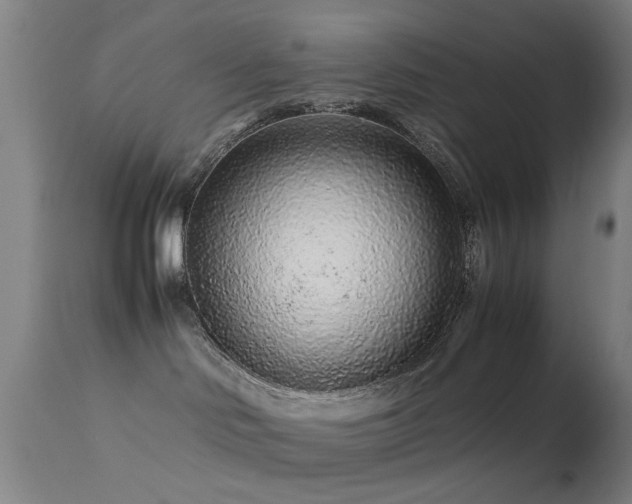 X0000113240046200909171613