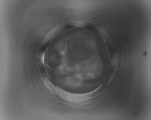 X0000113240047200909171613