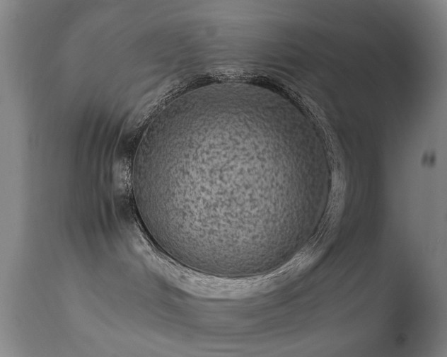 X0000113240048200909171613