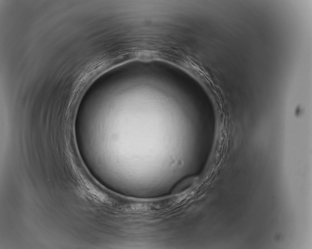 X0000113240049200909171612