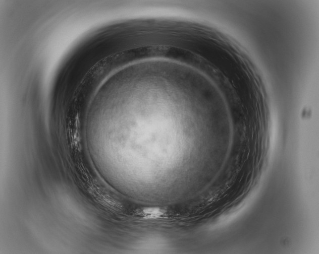 X0000113240050200909171612