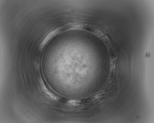 X0000113240051200909171612