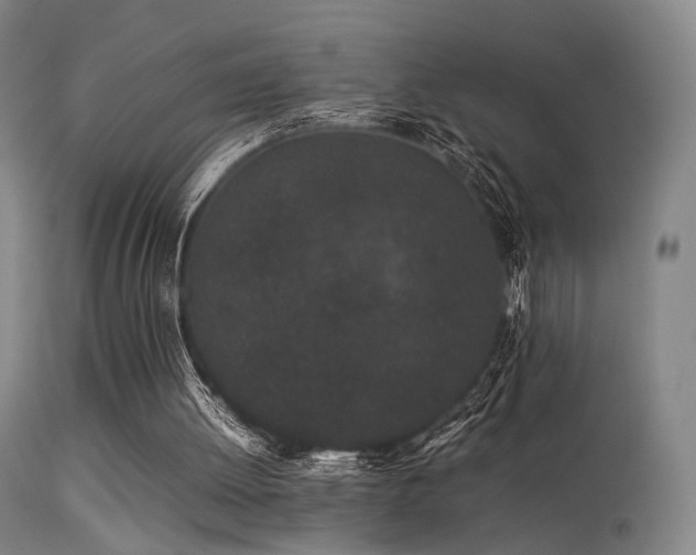 X0000113240052200909171612