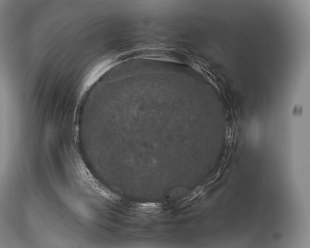 X0000113240053200909171612