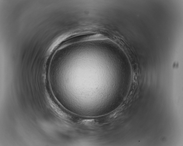 X0000113240054200909171612