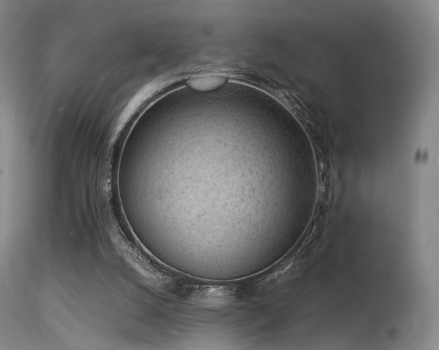 X0000113240056200909171612