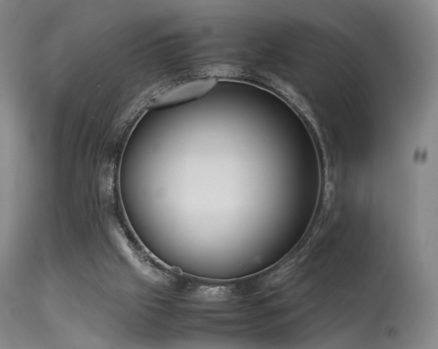 X0000113240057200909171612