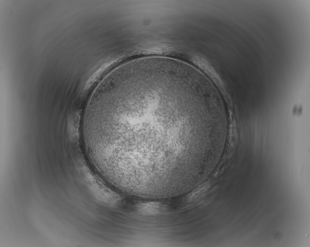 X0000113240058200909171612