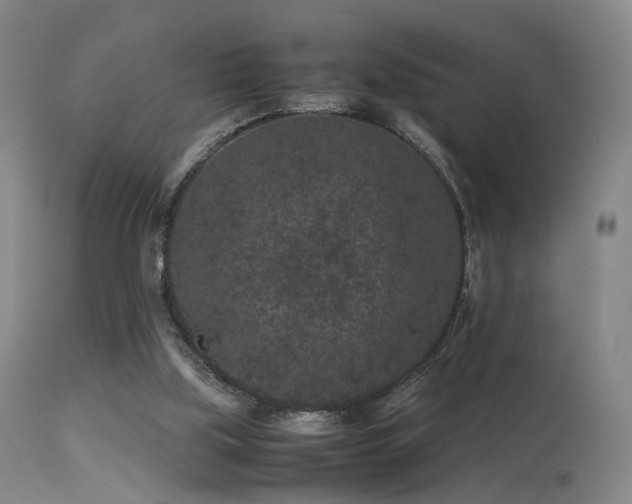 X0000113240059200909171612