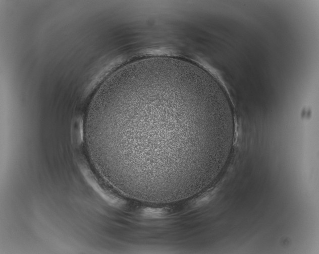 X0000113240061200909171612