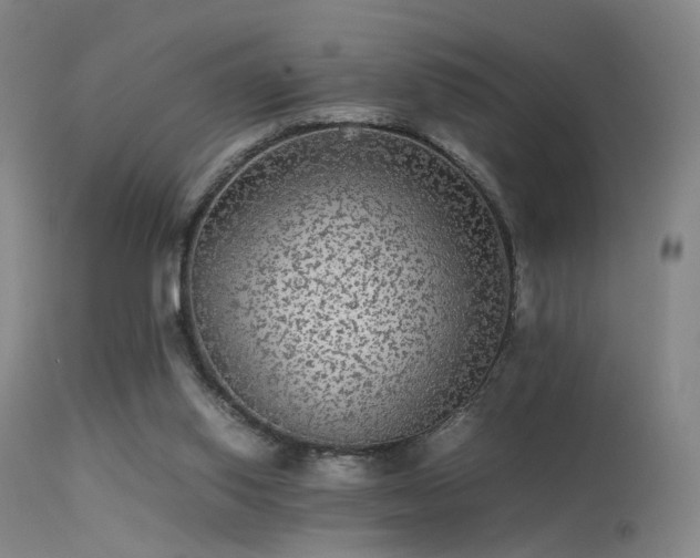 X0000113240062200909171612