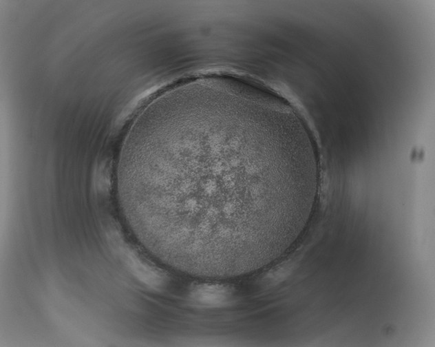 X0000113240063200909171612