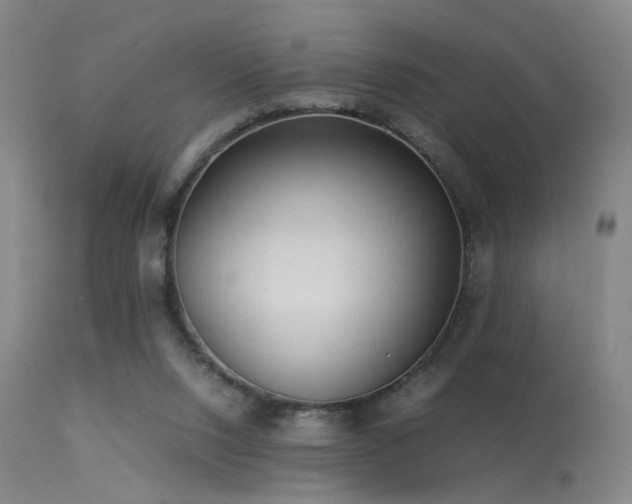 X0000113240064200909171612