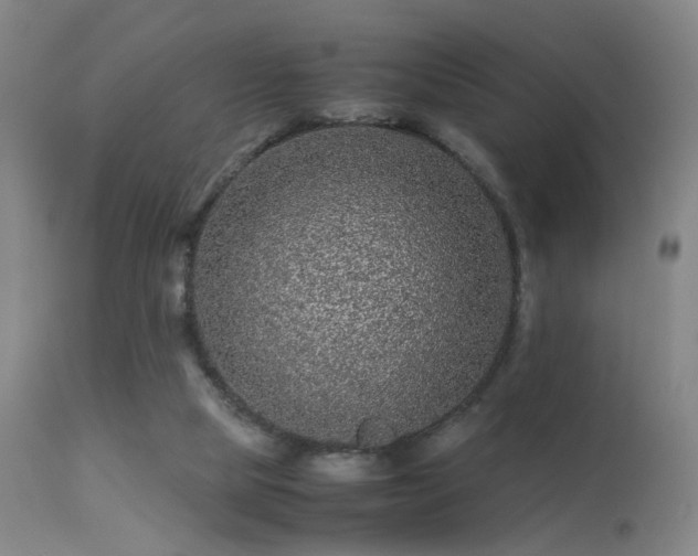 X0000113240065200909171612