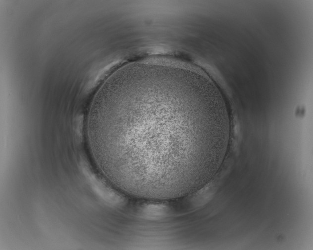 X0000113240066200909171612