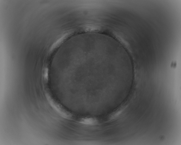 X0000113240067200909171612